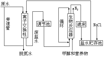 消毒副产物