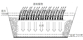 雨水调蓄+人工湿地工艺在初期雨水处理中的应用